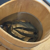 柚木元 - 