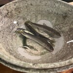 心根 - 天然の鮎