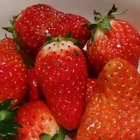 リュクス ダイニング ハプナ - 