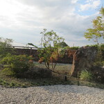 炭火焼き うなぎの店 旦 - 食事場所から見た庭園 北側