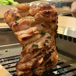 鶏焼肉 ホルモン てっちゃん - ももかるびの豪快焼き