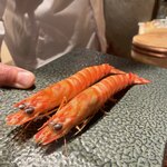 恵比寿 鮨 謙心 - 