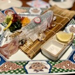 さかな市場 下関駅前店 - ヤリイカ活造り