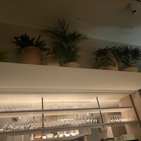 TRATTORIA PIZZERIA 207 渋谷店 - 