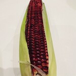 ピアチェボーレ - 茨城産の、赤いトウモロコシ【大和ルージュ】✨はじめまして(*⁰▿⁰*)/