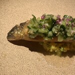 清澄白河 フジマル醸造所 - 