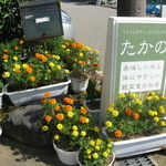 健康食工房 たかの - 金沢市でこだわりの自然食穀菜食のレストラン　マクロビオティック「健康食工房たかの」のお店の周りは鮮やかなお花がいっぱい、お客様を可愛いお花がお迎えいたします。