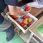 川平マエタケ農園 - 