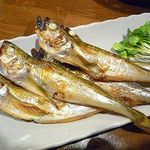 有楽 - ハタハタ