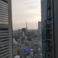 オールデイダイニング ハーモニー - 東京タワー遠景