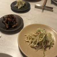 CINA New Modern Chinese - 