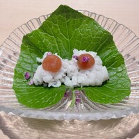 松栄 恵比寿本店 - 