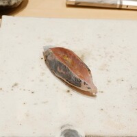 鮨 龍次郎 - あじ