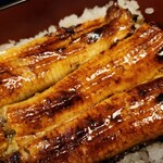 藤舟 - 