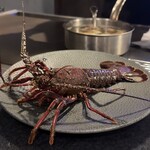 銀座 和牛鉄板焼 USHIGAMI - 