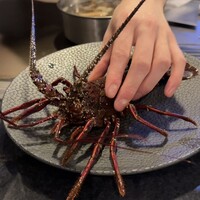 銀座 和牛鉄板焼 USHIGAMI - 