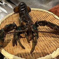 鉄板焼　裕 - 