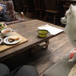 アールケイ ガーデン - 