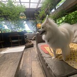 アールケイ ガーデン - 