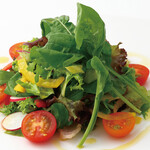 ドンサバティーニ - 