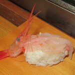 ていね鯉寿し - 