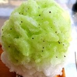 埜庵 - ヨーグルト練乳とキウイ  900円。
                                キウイの香りが凄く強く、氷もふわふわで美味しい。
                                さすが日光の氷。