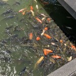 そば屋八兵衛 - めちゃくちゃ集まって来た！