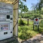 そば屋八兵衛 - 鯉の餌におみくじがついているものもあります。