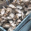 魚売場　森田水産 那珂湊魚市場前