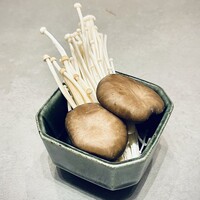 季節のきのこ