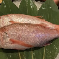 泉岳寺門前 紋屋 - 