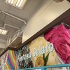 フォンタナ ジェラート