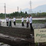 Auberge de Primavera - 浅間山麓にあるプリマヴェーラの自家農園。有機栽培の野菜やハーブを愛情こめて育てています。