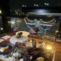 渋谷 Blue bird - 
