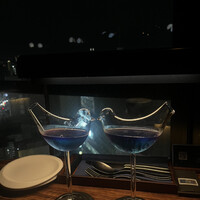 渋谷 Blue bird - 