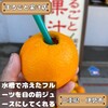 まるごと果汁店