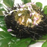 和ふらんす 神田川 - 