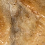 ラッキー ベーグル - 