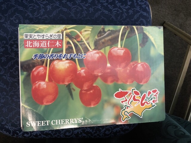 Sapporo Park Hotel photo 2