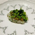 Regalo - 白烏賊のタルタルと自家製唐墨　オクラとミント