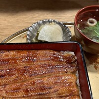 うなぎ 目白ぞろ芽 - 