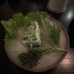 LURRA° - グラニースミス林檎のジェラート、すいばと松の新芽