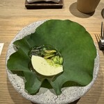 LURRA° - 枝豆豆腐、じゅんさい、剣先イカとジャスミンの出汁