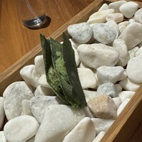 ル スプートニク - 