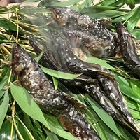 御料理ふじ居 - 