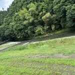 小来川 山帰来 - 