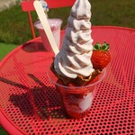 奥山いちご農園 plate - くずして食べるアイスのいちご