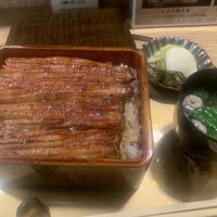 うなぎ 目白ぞろ芽 - 