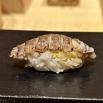 あま木 - 生シャコ