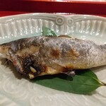 銀座 きた川 - 長良川の鮎